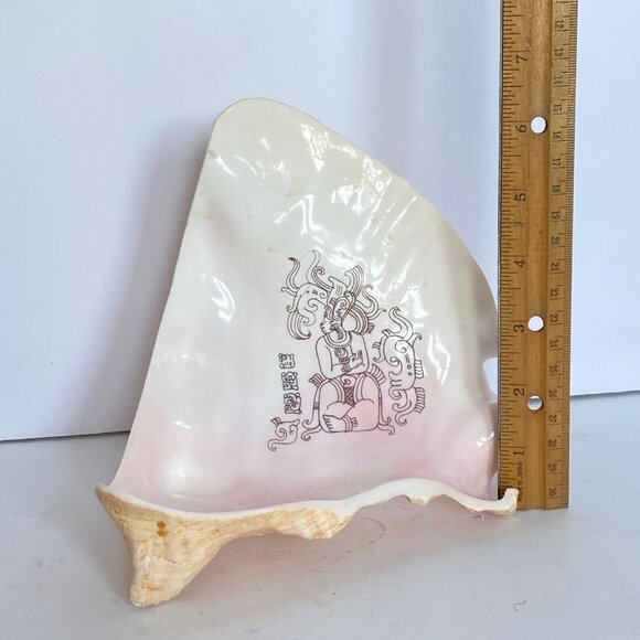 Mayan Image and Glyphs MesoAmerican Carved Queen Conch Shell Mexico - Picture 6 of 7